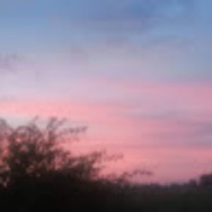 Meet your Posher, Angel